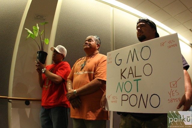 Uncle Jerry Konanui - Malama Haloa, no GMO Kalo!!