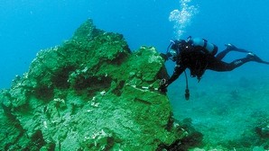 Broken coral reef from the USS Port Royal