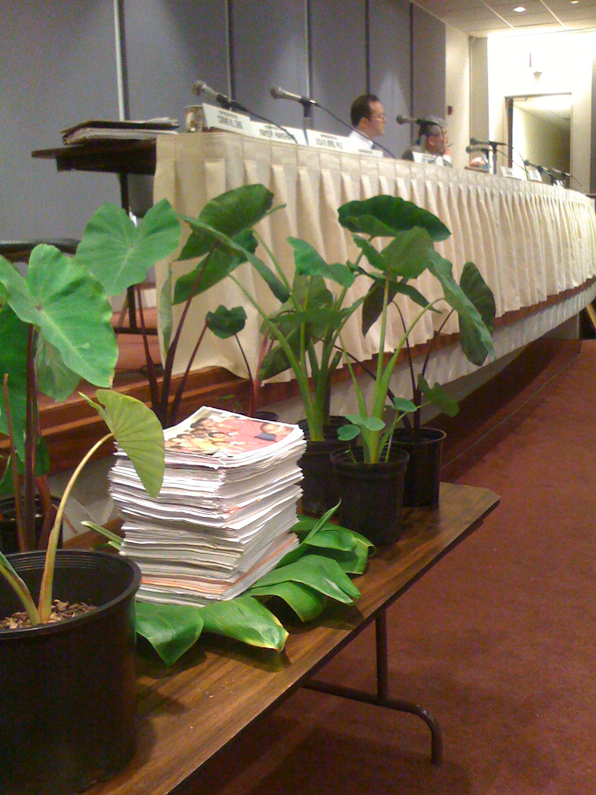 6,000 people testify in support of GMO-free taro