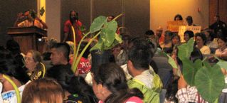 Uncle Walter testifying in support of GMO-free taro to a “lo’i” audience