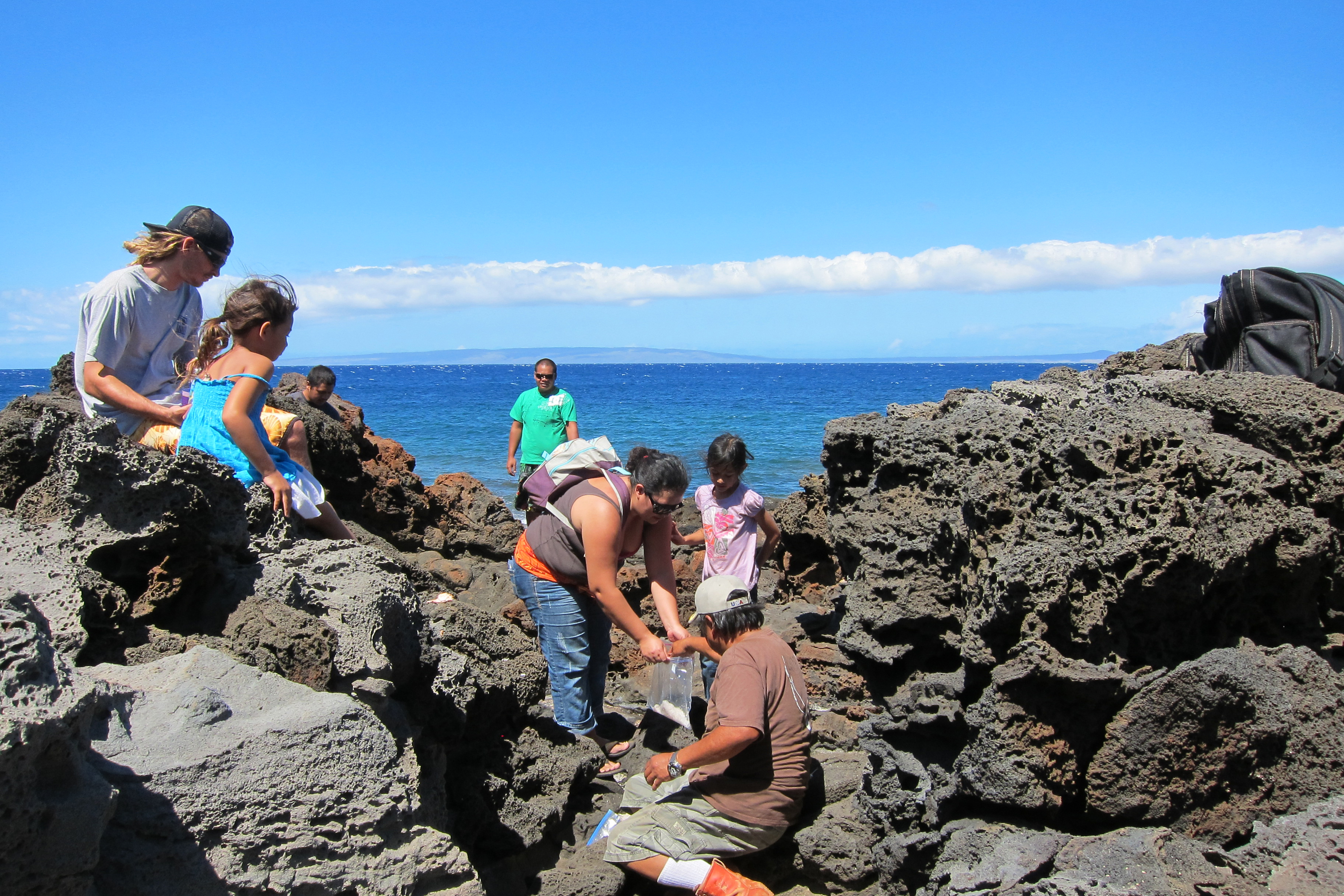 Monk Seals Tied to Land and Sea: A Look at Critical Habitat 